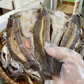 Chưa phân loại