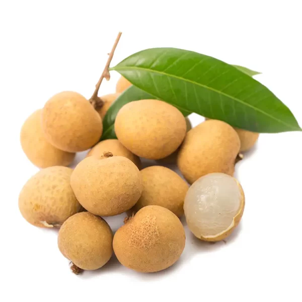 Nhãn Lồng